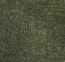 Sea53-230 Samphire
