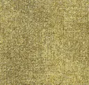 Sea69-231 Grain
