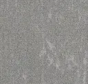 Ice250-152 Encounter