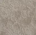 Itr218-235 Shape