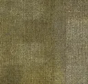 Whr103-89-45 Acanthus