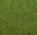 Pickle