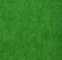 Mantis