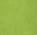 Honeydew