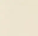 101