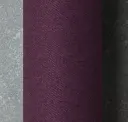 Aubergine