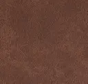 Mocha