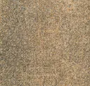 Sea153-216 Urchin