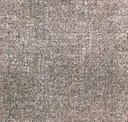 Sea153-261 Scallop