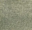 Sea163-152 Natterjack