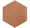 Clay Salmon