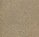 Gold Rush