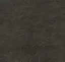 Incognito