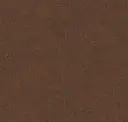Tanned Hide