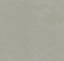 Aluminum