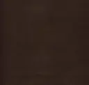 Deep Umber