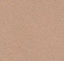 Rosy Brown