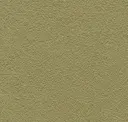 Olivegreen