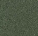 Dark Moss