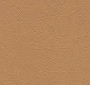 Gobi
