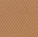 Gobi