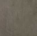 Shitake