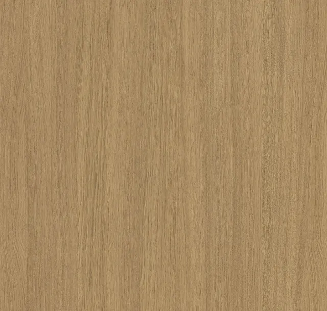 Main