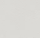 Lightgrey