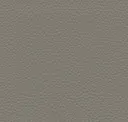 Slate Grey