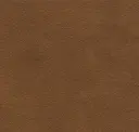 Nut