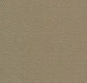 Wheat