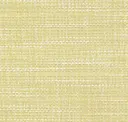 Lemon Grass