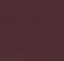 Raisin