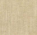 Sesame