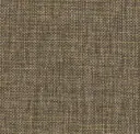 Buckskin