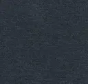 Iron