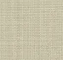 Celadon