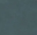 Aquatic