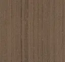 Holster