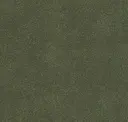 Boxwood