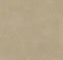 Buckskin
