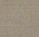 Cement