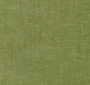 Parakeet