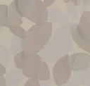 Birch