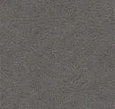 Charcoal