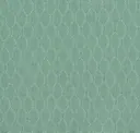 Tranquil Teal