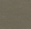 Mocha
