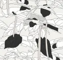 Silhouette Silk