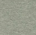 Eucalyptus
