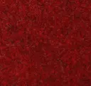 Currant